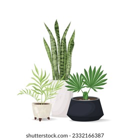 Composition of trendy tropical flowers, leaves in pots. Home decor. Print on flower shop