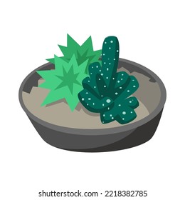 Composición de cactus tropicales y suculento en olla. aislado de fondo blanco. Ilustración vectorial de dibujos animados de plantas domésticas. Florario, terrario, concepto de interiores botánicos