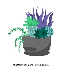 Composición de cactus tropicales y succulentos en olla aislada sobre fondo blanco. Ilustración vectorial de dibujos animados de plantas domésticas. Florario, terrario, concepto de interiores botánicos