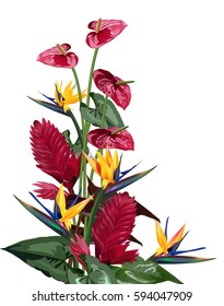  composition of tropical flowers for design greeting cards, brochures, 
  tropical and sub-tropical areas of Central and South America.