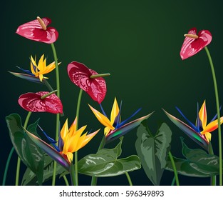 The composition of tropical flowers for design of postcards, brochures, banners, flyers tropical and subtropical forests