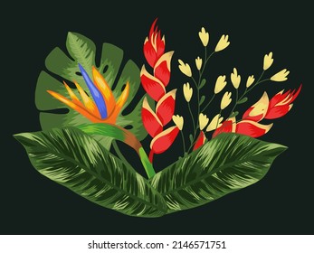 Composition with tropical flowers heliconia and strelitzia, leaves palm and monstera. Vector illustration on a black background