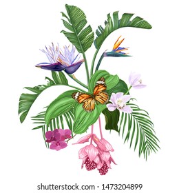 Composition of tropical flowers and leaves with butterfly isolated on white background. Strelitzia, orchids, medinilla, palm trees. Vector illustration.