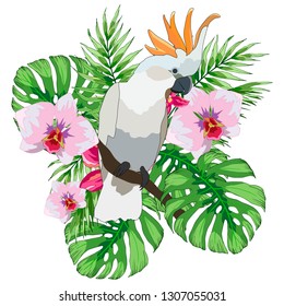 composition with tropical flowers, leaves monsters and parrot