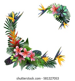 composition of tropical  flowers, leaves, vines:  Strelitzia, Plumeria, South America, Central Africa, Southeast Asia and Australia.
Monsoon forests, Mangroves