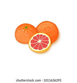 Composition of tropical grapefruit fruits. Vector card illustration. Group of ripe vector citrus pomelo fruit whole and slice for design of food packaging breakfast, detox, cosmetics cream, jam, juice
