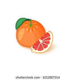 Composition of tropical grapefruit fruits. Vector card illustration. Group of ripe vector citrus pomelo fruit whole and slice for design of food packaging breakfast, detox, cosmetics cream, jam, juice