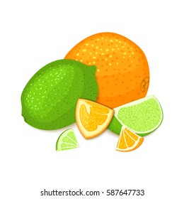 Composition of tropical orange and lime fruits. Ripe vector citrus orange and lemon fruit whole and slice appetizing looking. 