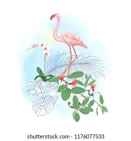 A composition of tropical plants, palm leaves, monsters and white orchids with flamingo  In botanical style. Colored and outline design on watercolor background. Vector illustration.