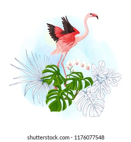 A composition of tropical plants, palm leaves, monsters and white orchids with flamingo  In botanical style. Colored and outline design on watercolor background. Vector illustration.