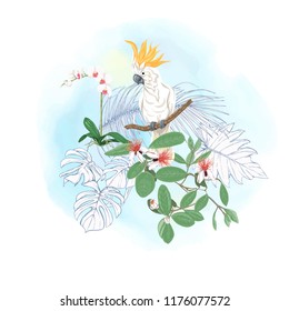 A composition of tropical plants, palm leaves, monsters and white orchids with cockatoo parrot In botanical style. Colored and outline design on watercolor background. Vector illustration.