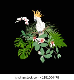 A composition of tropical plants, palm leaves, monsters and white orchids with cockatoo parrot In botanical style Colored vector illustration. Isolated on black background.
