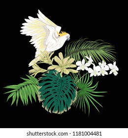 A composition of tropical plants, palm leaves, monsters and white orchids with cockatoo parrot In botanical style Colored vector illustration. Isolated on black background.
