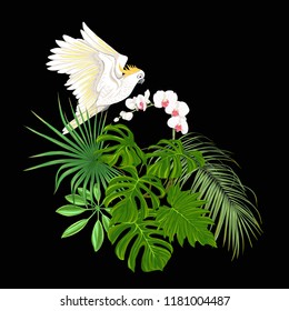 A composition of tropical plants, palm leaves, monsters and white orchids with cockatoo parrot In botanical style Colored vector illustration. Isolated on black background.
