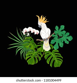 A composition of tropical plants, palm leaves, monsters and white orchids with cockatoo parrot In botanical style Colored vector illustration. Isolated on black background.
