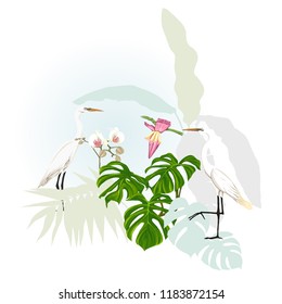 A composition of tropical plants, palm leaves, monsters and white orchids with white heron   In botanical style Vector illustration. Colored and silhouette design.
