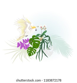 A composition of tropical plants, palm leaves, monsters and white orchids with cockatoo parrot In botanical style Vector illustration. Colored and silhouette design.
