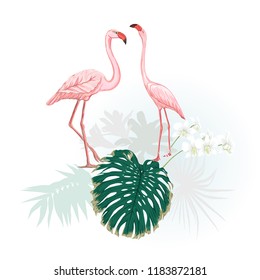 A composition of tropical plants, palm leaves, monsters and white orchids with flamingo In botanical style Vector illustration. Colored and silhouette design.
