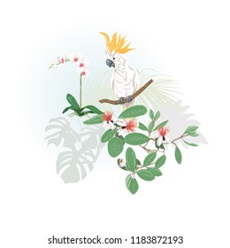 A composition of tropical plants, palm leaves, monsters and white orchids with cockatoo parrot In botanical style Vector illustration. Colored and silhouette design.
