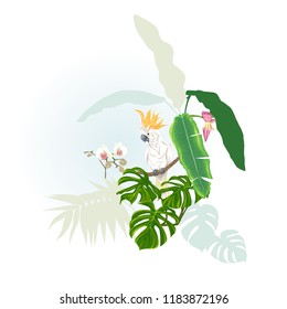 A composition of tropical plants, palm leaves, monsters and white orchids with cockatoo parrot In botanical style Vector illustration. Colored and silhouette design.
