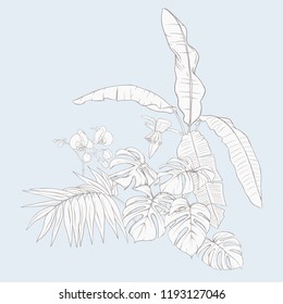 A composition of tropical plants, palm leaves, monsters and white orchids In botanical style. Outline hand drawing vector illustration.  In vintage blue and beige colors.