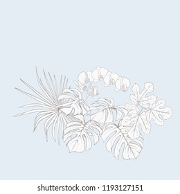 A composition of tropical plants, palm leaves, monsters and white orchids In botanical style. Outline hand drawing vector illustration.  In vintage blue and beige colors.