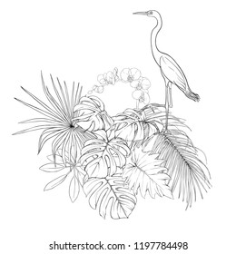 A composition of tropical plants, palm leaves, monsters and white orchids with white heron In botanical style. Outline hand drawing vector illustration. Isolated on white background.