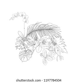 A composition of tropical plants, palm leaves, monsters and white orchids In botanical style. Outline hand drawing vector illustration. Isolated on white background.