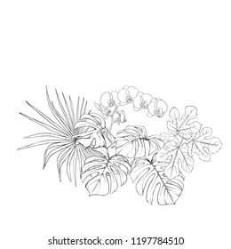 A composition of tropical plants, palm leaves, monsters and white orchids In botanical style. Outline hand drawing vector illustration. Isolated on white background.