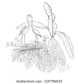 A composition of tropical plants, palm leaves, monsters and white orchids with flamingo In botanical style/ Outline hand drawing vector illustration. Isolated on white background.