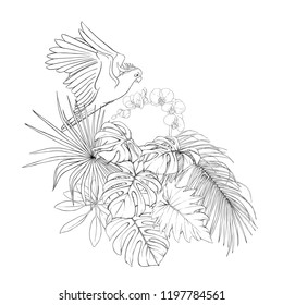A composition of tropical plants, palm leaves, monsters and white orchids with cockatoo parrot In botanical style. Outline hand drawing vector illustration. Isolated on white background.