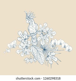 A composition of tropical plants, palm leaves, monsters and white orchids with cockatoo parrot In botanical style. Graphic drawing, engraving style. vector illustration.  In blue and beige colors.