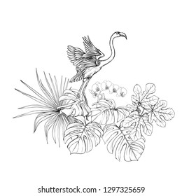 A composition of tropical plants, palm leaves, monsters and white orchids with flamingo In botanical style. Graphic drawing, engraving style. vector illustration.  Black and white graphics. 