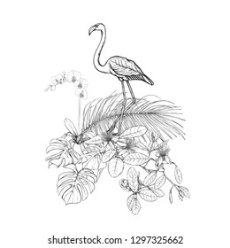 A composition of tropical plants, palm leaves, monsters and white orchids with flamingo In botanical style. Graphic drawing, engraving style. vector illustration.  Black and white graphics. 