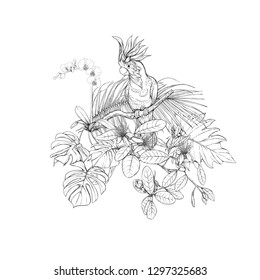 A composition of tropical plants, palm leaves, monsters and white orchids with cockatoo parrot In botanical style. Graphic drawing, engraving style. vector illustration.  Black and white graphics. 