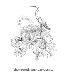 A composition of tropical plants, palm leaves, monsters and white orchids with white heron In botanical style. Graphic drawing, engraving style. vector illustration.  Black and white graphics. 