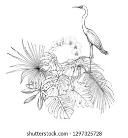 A composition of tropical plants, palm leaves, monsters and white orchids with white heron In botanical style. Graphic drawing, engraving style. vector illustration.  Black and white graphics. 