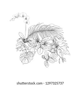 A composition of tropical plants, palm leaves, monsters and white orchids In botanical style. Graphic drawing, engraving style. vector illustration.  Black and white graphics. 