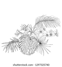 A composition of tropical plants, palm leaves, monsters and white orchids In botanical style. Graphic drawing, engraving style. vector illustration.  Black and white graphics. 