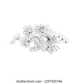 A composition of tropical plants, palm leaves, monsters and white orchids In botanical style. Graphic drawing, engraving style. vector illustration.  Black and white graphics. 