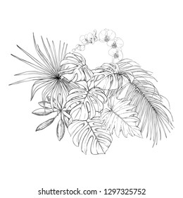 A composition of tropical plants, palm leaves, monsters and white orchids In botanical style. Graphic drawing, engraving style. vector illustration.  Black and white graphics. 