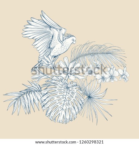 A composition of tropical plants, palm leaves, monsters and white orchids with cockatoo parrot In botanical style. Graphic drawing, engraving style. vector illustration.  In blue and beige colors.