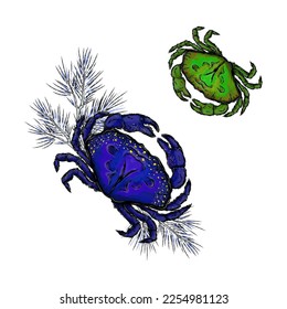 composition, two crabs, small and large	
