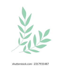Composition of two pale green olive branches in flat style, floral clip art elements on white