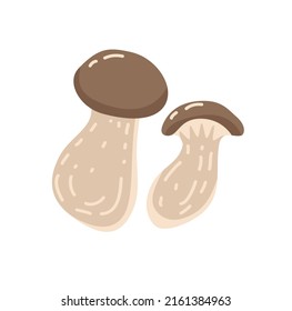 Composition of two raw edible mushrooms isolated on white background. Autumn forest food. Colored flat vector illustration of fungus
