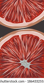 Composition of two slices of grapefruit. Hand drawn citrus fruit. Vector