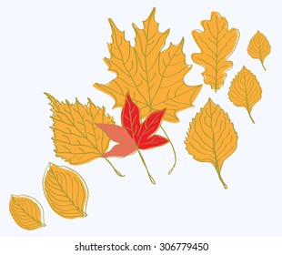 composition of vector autumn yellow leaves