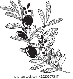 Composición de ramas de olivo de Vector y frutos de olivo y hoja.