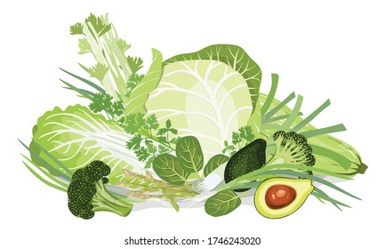 Composition of vegetables. Chinese-cabbage, White-cabbage, Squash, Leek, Green onion,Tats, Asparagus, Broccoli, Avocado, Peas, cucumbers, Parsley, Celery. Healthy nutrition.Vegan. Vector illustration.