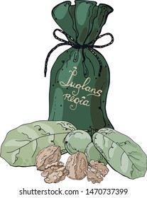 Composition with walnut elements and burlap sack in green and beige with lettering. Isolated on white for design, print.